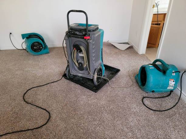 Best Residential water damage restoration  in Gruver, TX