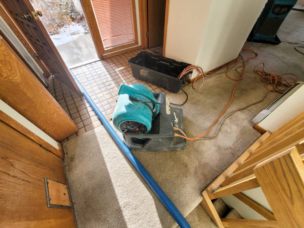 Best Ceiling water damage repair  in Gruver, TX