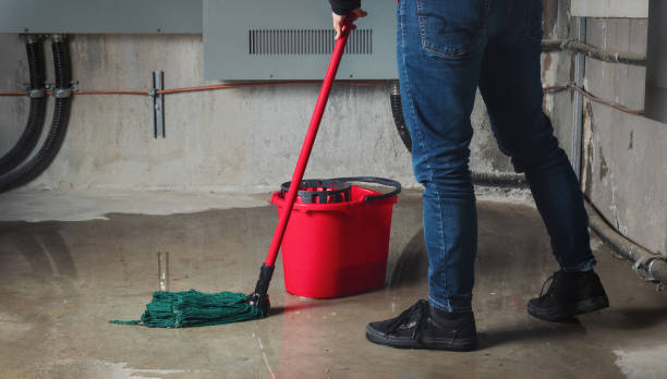 Best Mold removal after water damage  in Gruver, TX